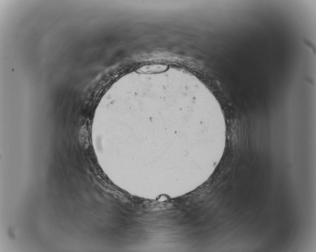 X0000103461493200810240937