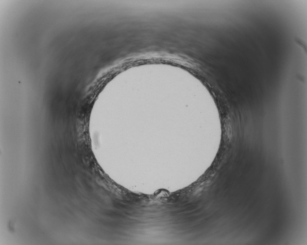 X0000103461494200810240937