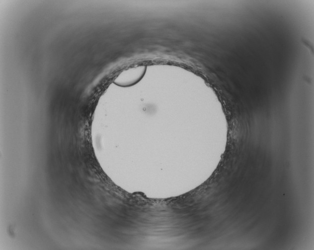 X0000103461495200810240937