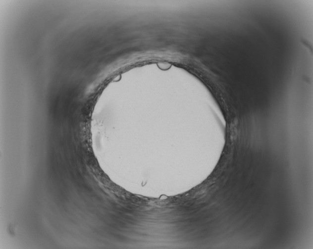 X0000103461496200810240937