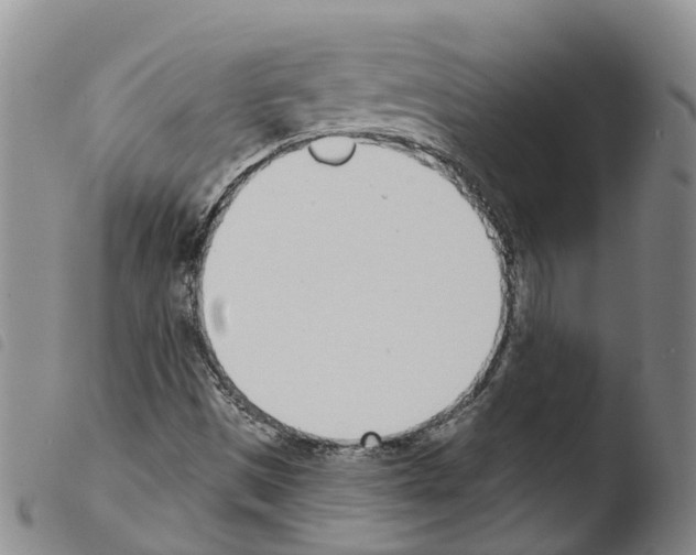 X0000103461497200810240937