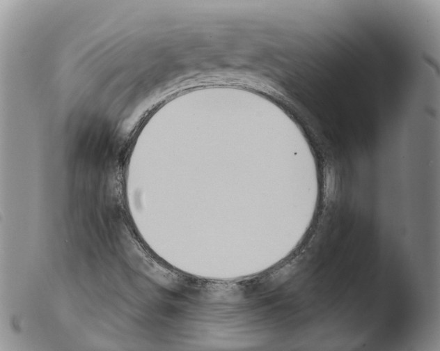 X0000103461498200810240937