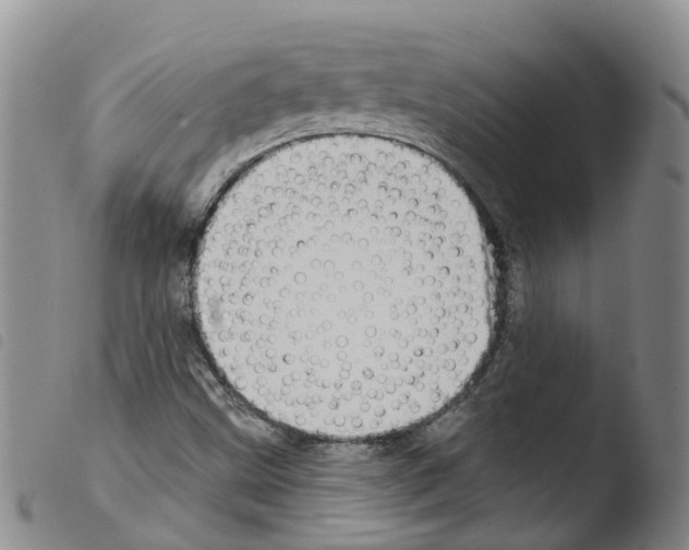 X0000103461499200810240937