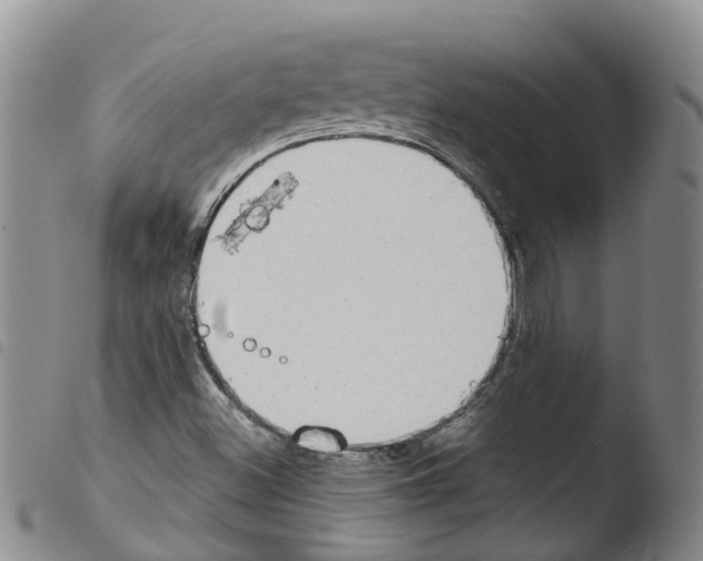 X0000103461500200810240937