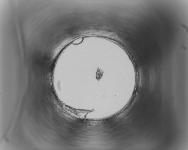 X0000103461501200810240937