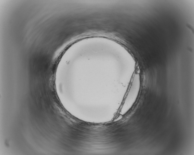 X0000103461502200810240937