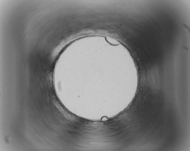 X0000103461503200810240937