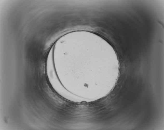 X0000103461504200810240937