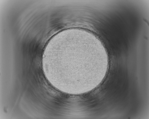 X0000103461505200810240937