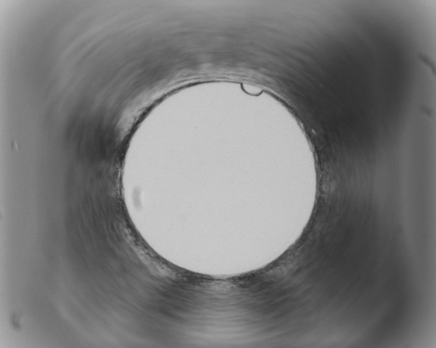 X0000103461507200810240937