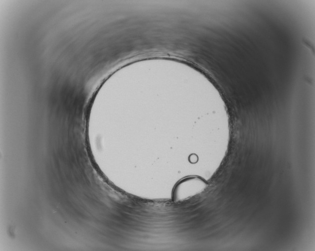 X0000103461508200810240937