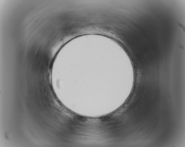 X0000103461509200810240937
