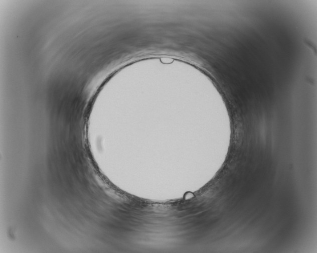 X0000103461511200810240937