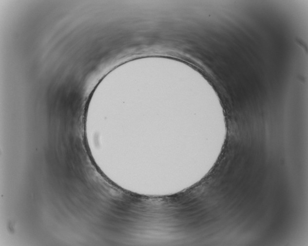 X0000103461512200810240937