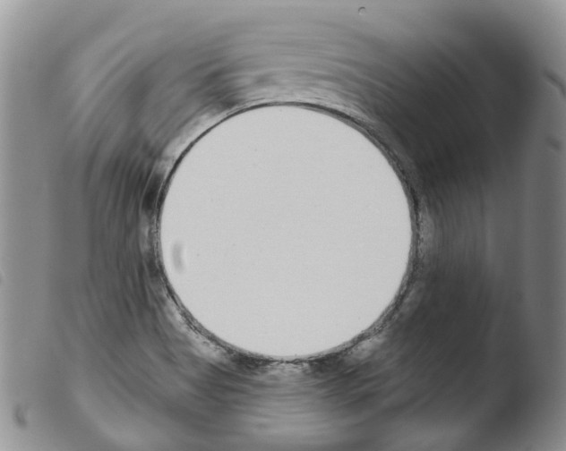 X0000103461513200810240937