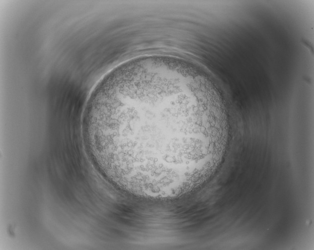 X0000103461514200810240937