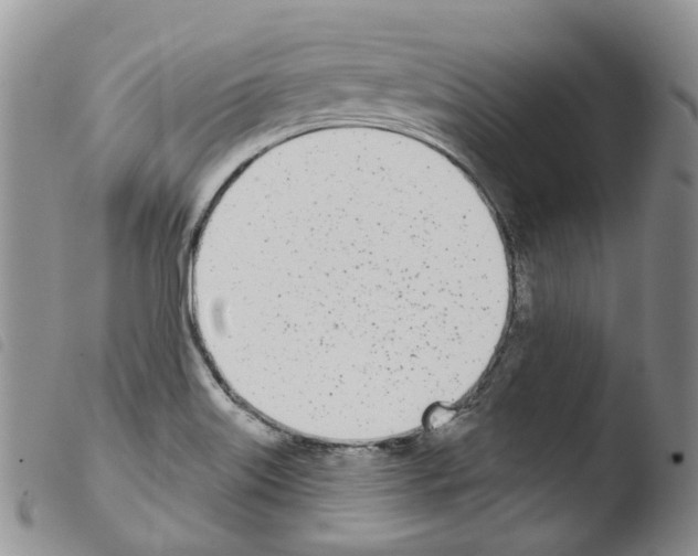 X0000103461515200810240937