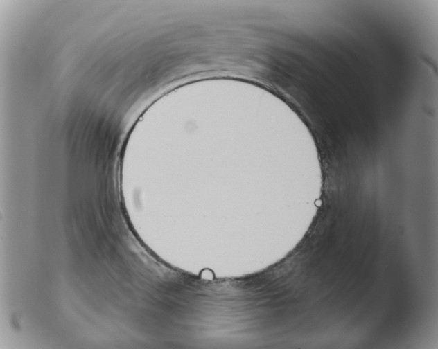 X0000103461516200810240937