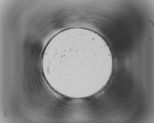 X0000103461517200810240937