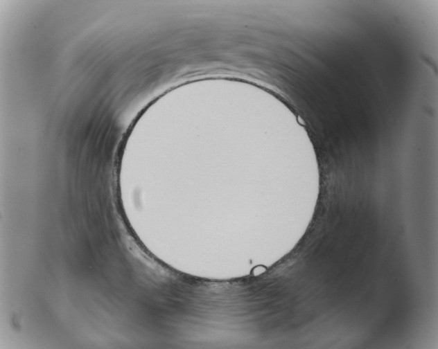 X0000103461518200810240937