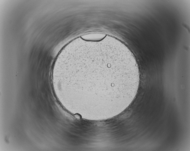X0000103461519200810240937