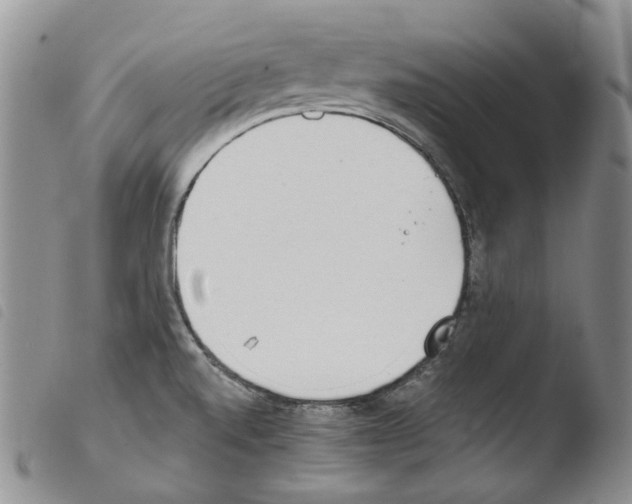 X0000103461520200810240937