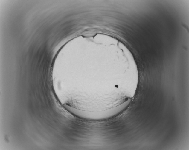 X0000103461522200810240937