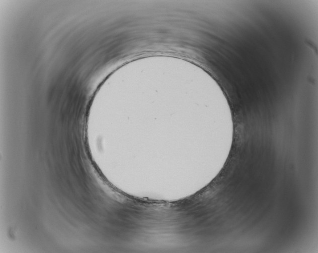 X0000103461523200810240937