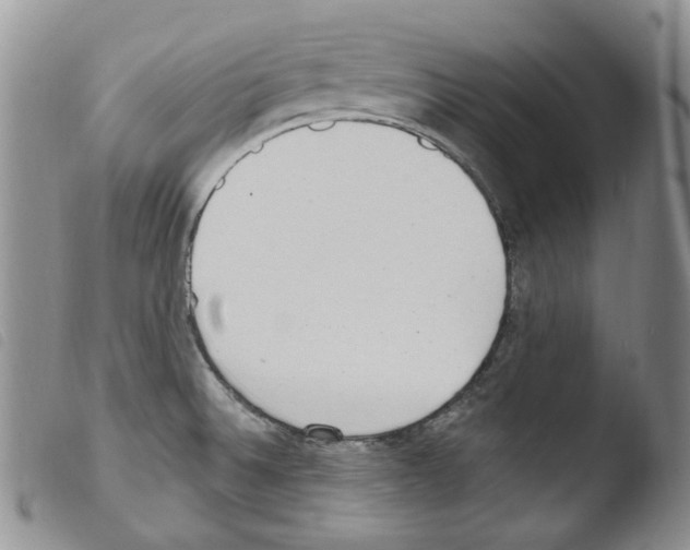 X0000103461524200810240937