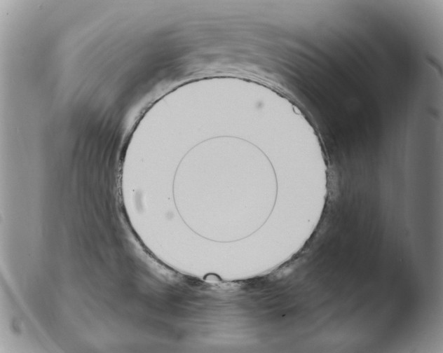 X0000103461525200810240937