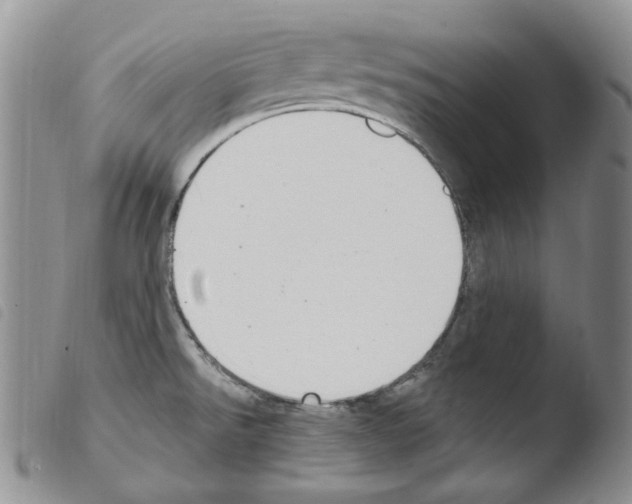 X0000103461526200810240937