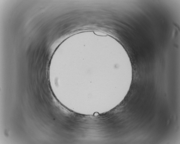 X0000103461527200810240937