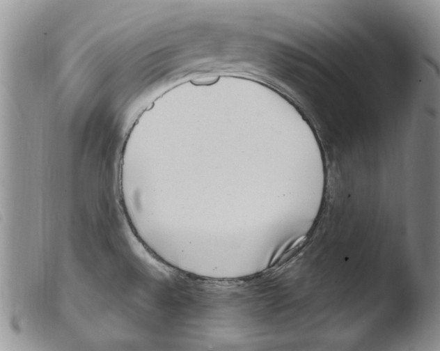 X0000103461528200810240937