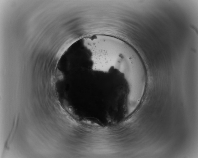 X0000103461529200810240937