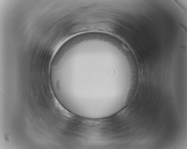 X0000103461532200810240937