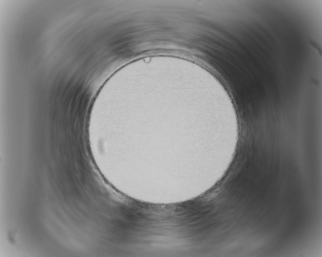X0000103461533200810240937