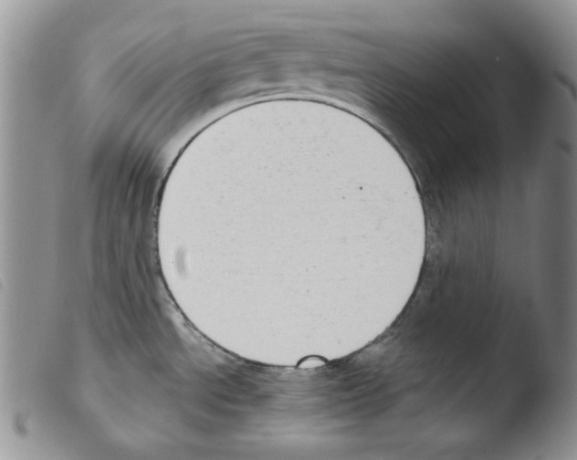 X0000103461534200810240937