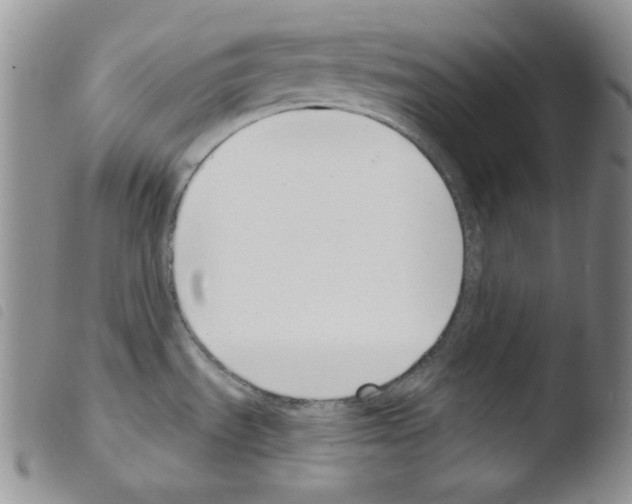 X0000103461535200810240937