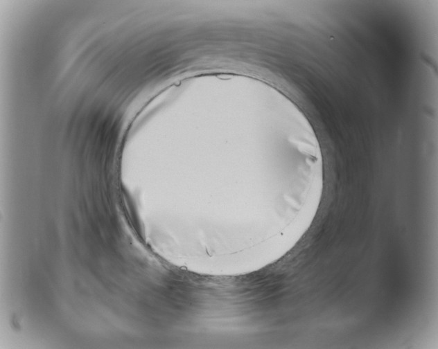 X0000103461536200810240937