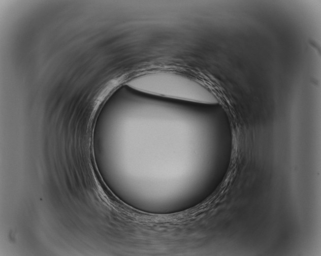 X0000103470003200809121130