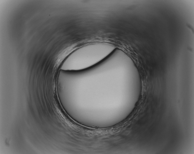 X0000103470005200809121130