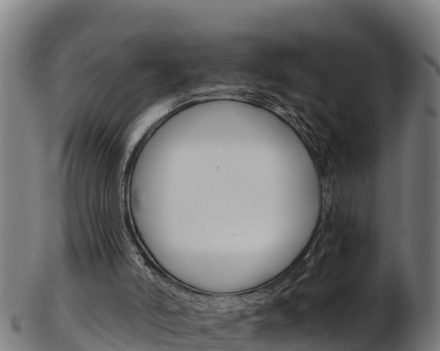 X0000103470006200809121130