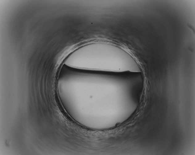 X0000103470007200809121130