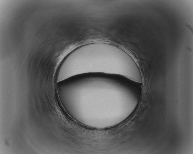 X0000103470008200809121130