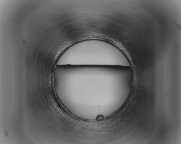 X0000103470010200809121130