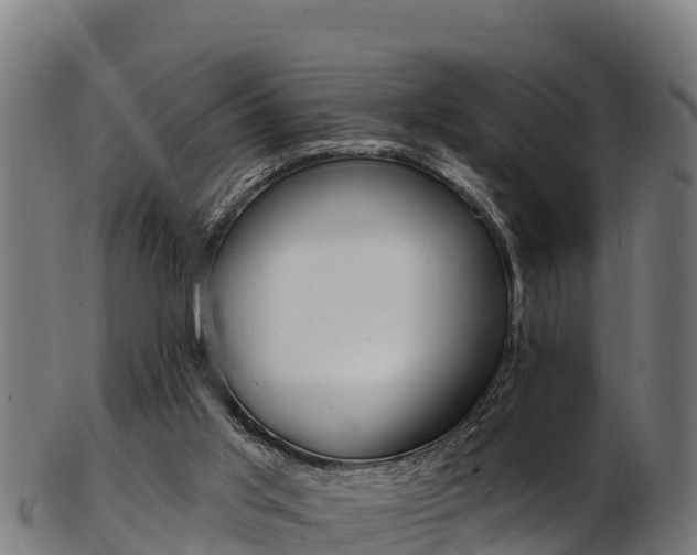 X0000103470013200809121130