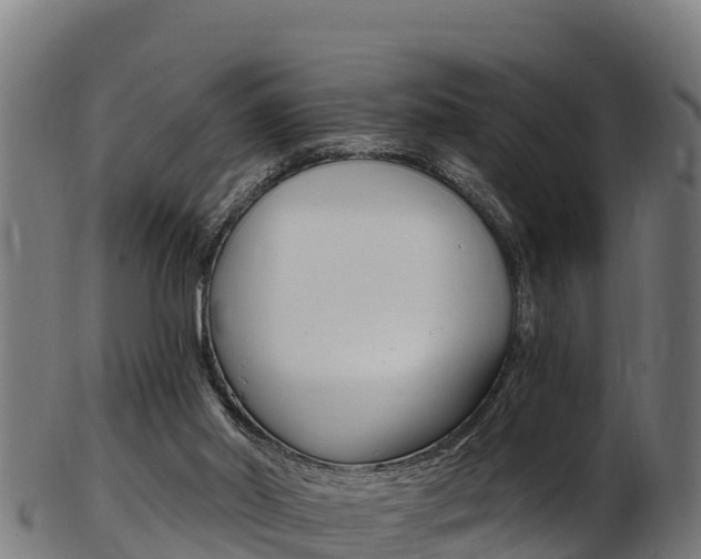 X0000103470014200809121130