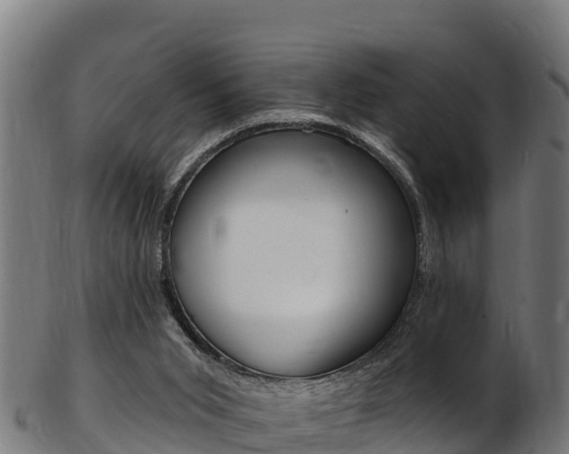 X0000103470015200809121130