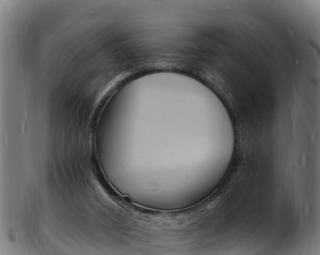X0000103470016200809121130