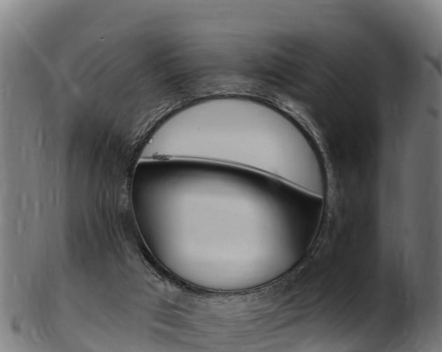 X0000103470017200809121130